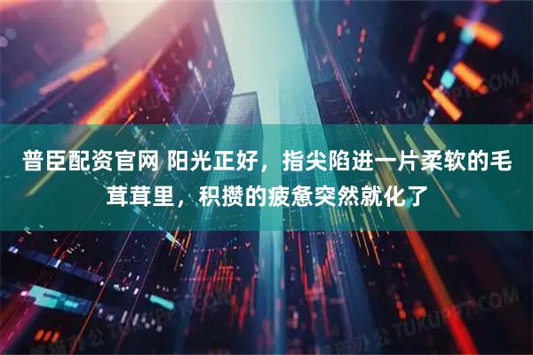 普臣配资官网 阳光正好，指尖陷进一片柔软的毛茸茸里，积攒的疲惫突然就化了